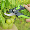 Large 215mm SK5 pruning shears from Zhang Xiaoquan AU cutting grapevine branches, showcasing sharp curved blade and safety lock feature.