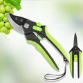 Complete SK5 steel pruning shears set with ergonomic green handles, displayed with grapes, ideal for fruit harvesting and garden maintenance.