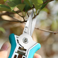 Pruning scissors cutting small green branches on a tree.