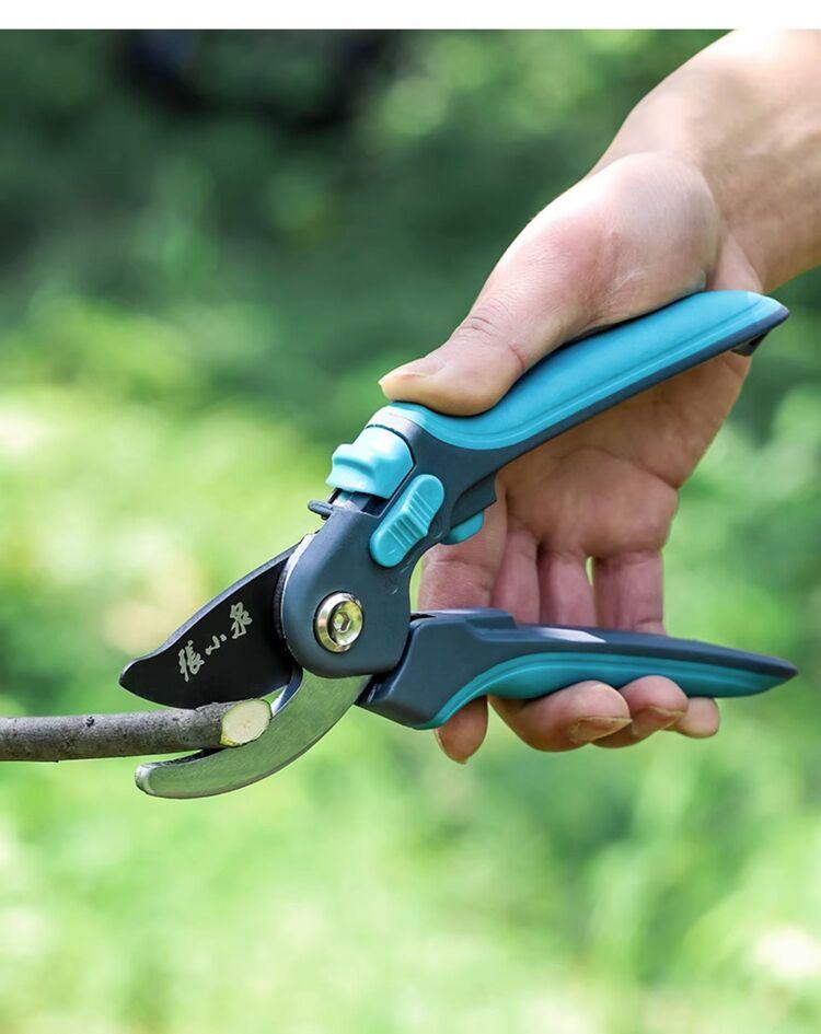 SK5/75Cr1 215mm Pruning Shears & Scissors - My Store